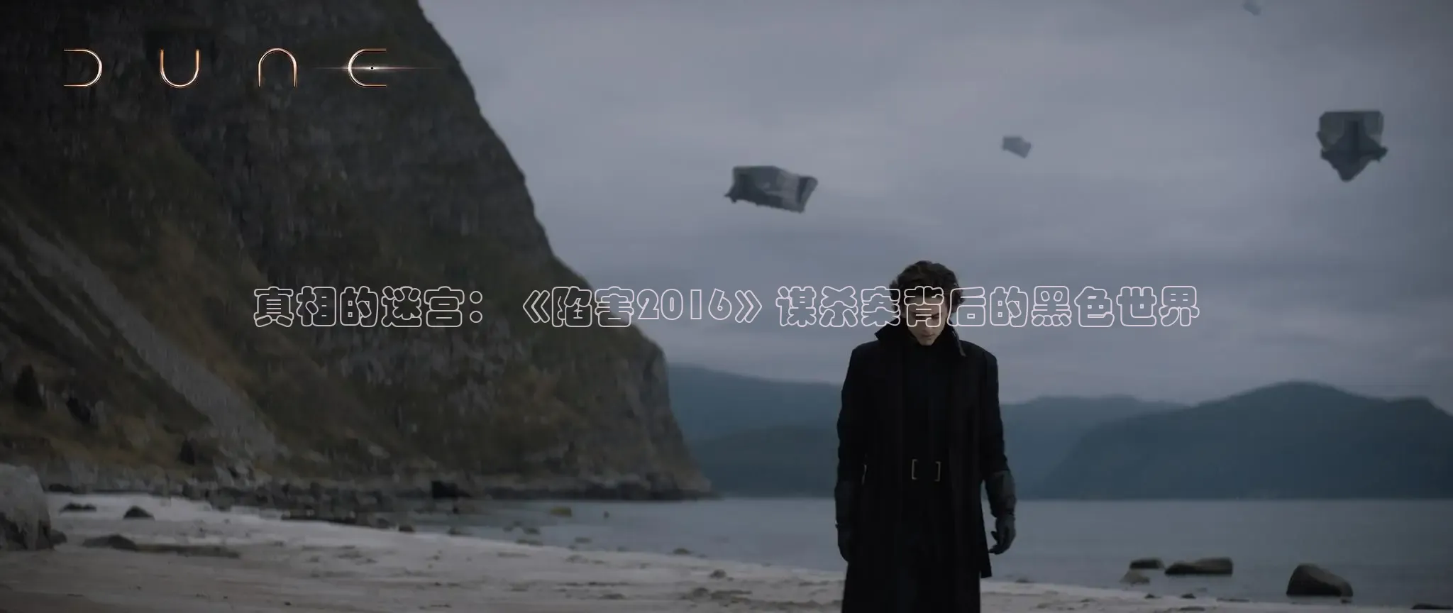 真相的迷宫：《陷害2016》谋杀案背后的黑色世界